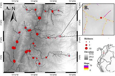 The Influence of Abiotic Environment and Connectivity on the Distribution of Diversity in an Andean Fish Fluvial Network